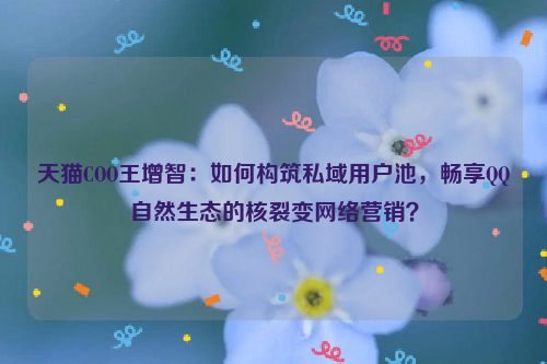 天猫COO王增智：如何构筑私域用户池，畅享QQ自然生态的核裂变网络营销？